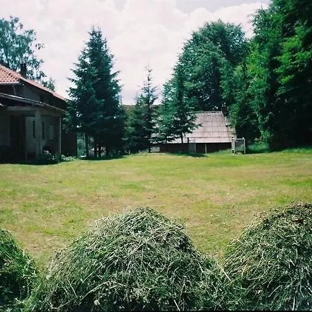 3m Pansioni Vlasina Rid